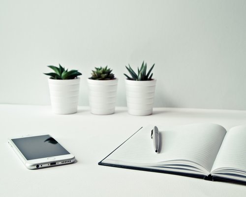 A clean workspace desk with notebooks and a green small plant
